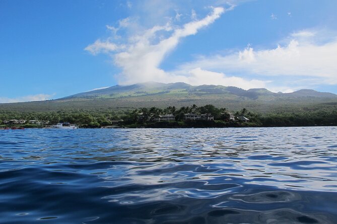 Ultimate Maui Whale Watch Snorkel Tour - Looking for whales and dolphins