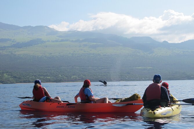 Ultimate Maui Whale Watch Snorkel Tour - Practical comfort and pacing