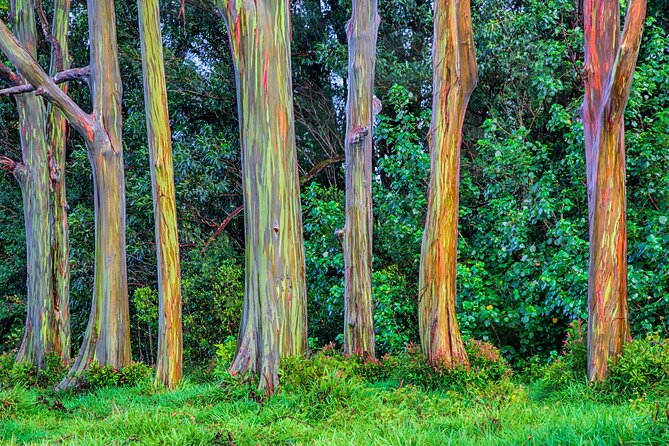 Ultimate Self-Driving Audio Tour of Road to Hana, Maui - Sacred history and the black sand beach