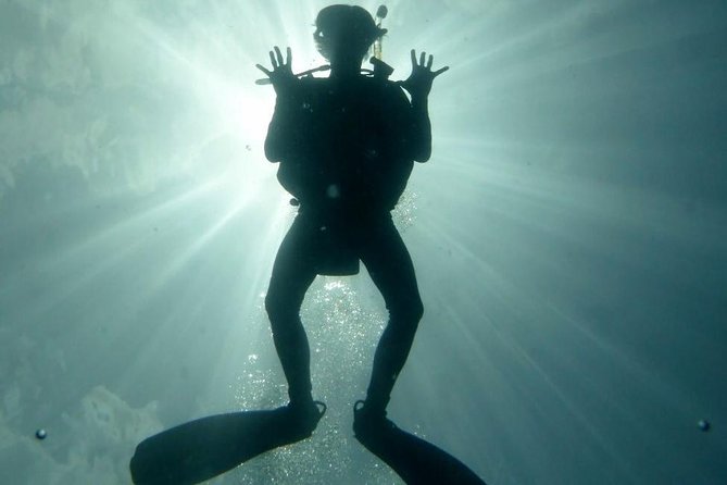 Underwater Scooter Dive (Certified Divers Only) Makena Wailea - Wildlife, lava rock, and the chance of caves