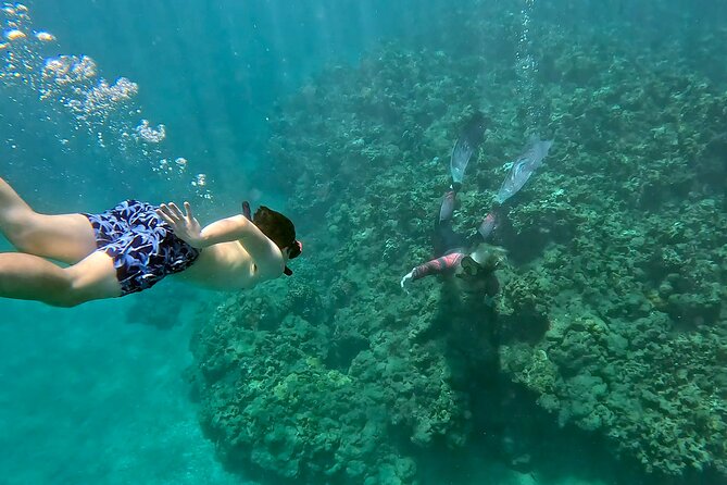 Unlimited Guided Snorkeling Tour for Beginners Plus - Key points to know before booking