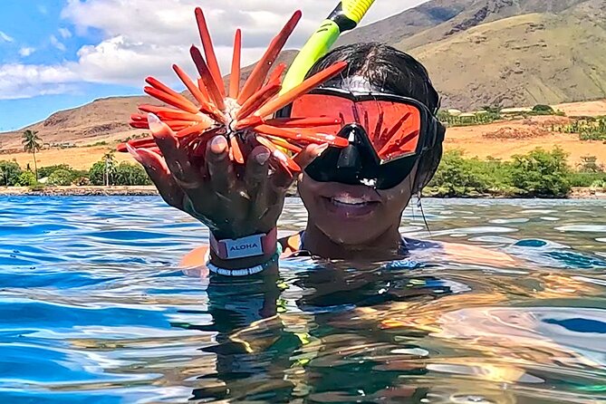 Unlimited Guided Snorkeling Tour for Beginners Plus - What happens at 814 HI-30