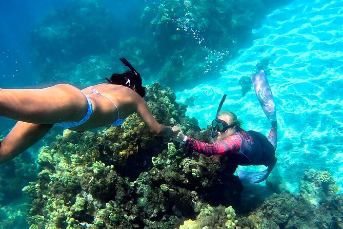 Unlimited Guided Snorkeling Tour for Beginners Plus - Entering Olowalu’s oldest reef system