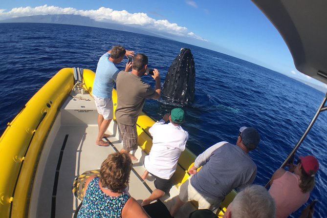 VIP (12 Guests ONLY) Ultimate Whale Watch - Who should book this raft tour?