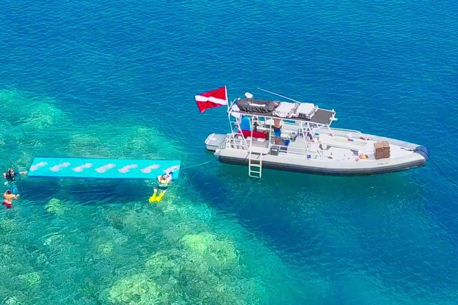 VIP Aloha Nui Snorkel Adventure w/ optional SCUBA from Lahaina - Optional SCUBA for First Timers and Certified Participants
