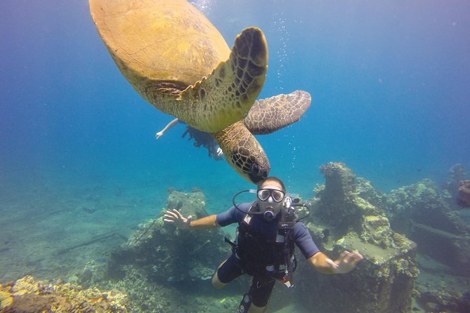 VIP Aloha Nui Snorkel Adventure w/ optional SCUBA from Lahaina - Who Should Book This Lahaina Boat Trip