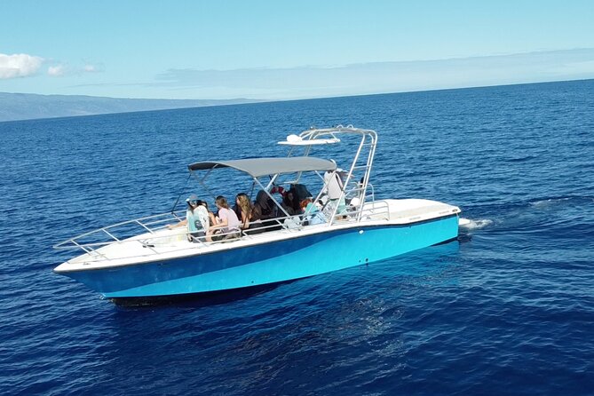 VIP Premiere Whale Watch Kaanapali Beach MAX 12 PASSENGERS - Why this small Kaanapali boat matters