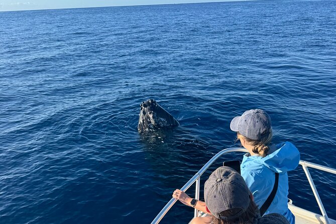 VIP Premiere Whale Watch Kaanapali Beach MAX 12 PASSENGERS - Leaving Kaanapali Beach for the Auʻau Channel