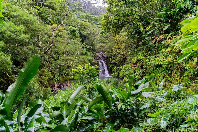 VIP Private Full-Day Road to Hana Tour - Why this private Road to Hana tour feels different
