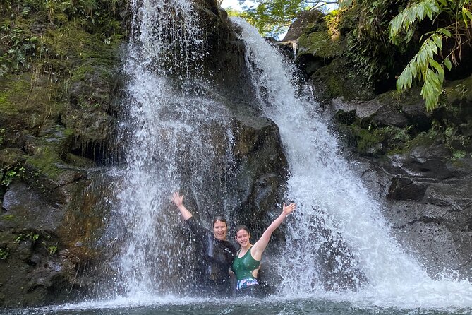 VIP Private Full-Day Road to Hana Tour - Waterfalls and the first chance to swim