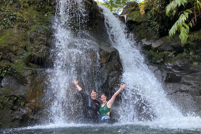 VIP Private Full-Day Road to Hana Tour from Lahaina-Kapalua - Bamboo, eucalyptus, and Ke‘anae Point