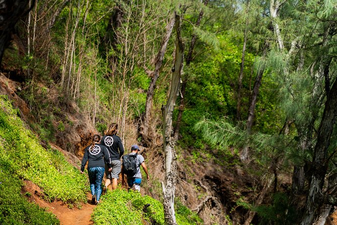 VIP Private Full-Day Road to Hana Tour from Lahaina-Kapalua - Puaa Kaa offers a waterfall break