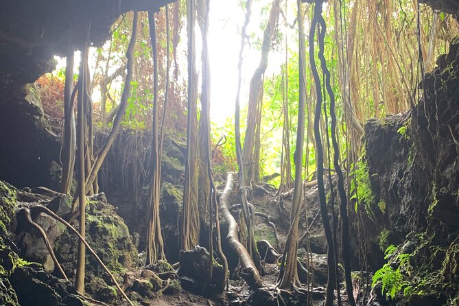VIP Private Full-Day Road to Hana Tour from Lahaina-Kapalua - A 200,000-year-old lava tube