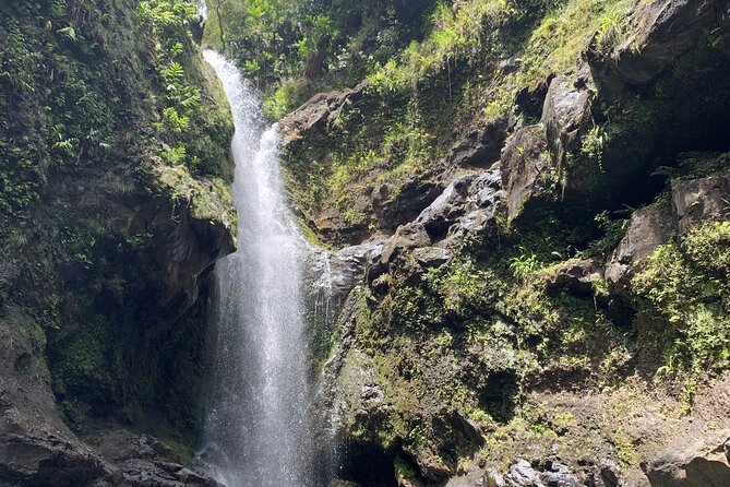 VIP Private Full-Day Road to Hana Tour from Lahaina-Kapalua - Hana Farms gives you food and a bathroom stop