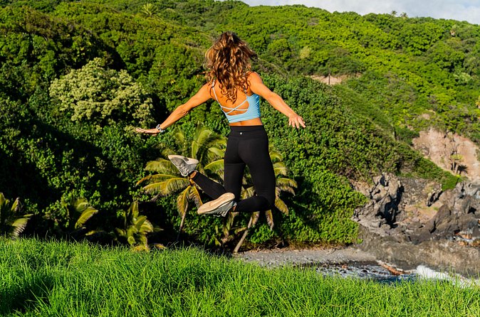 VIP Private Full-Day Road to Hana Tour from Lahaina-Kapalua - Wailua Falls and the back side of Hana