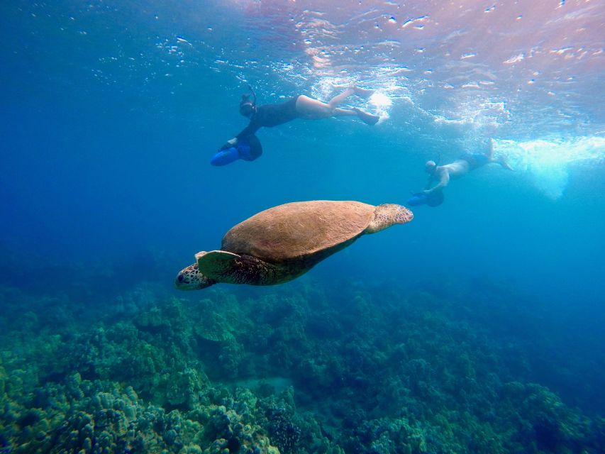 Wailea Beach: Guided Sea Scooter Snorkeling Tour - Why the sea scooter changes the snorkeling experience