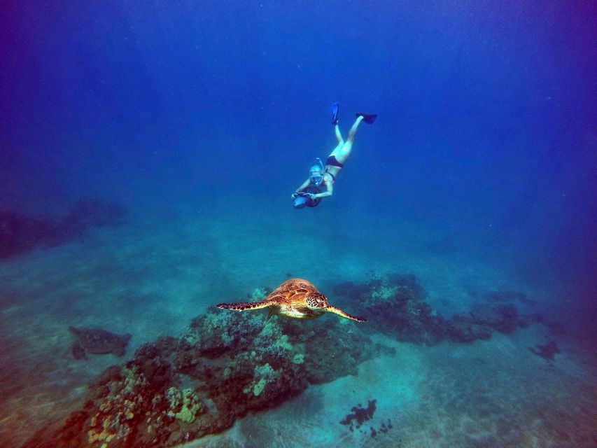 Wailea Beach: Guided Sea Scooter Snorkeling Tour - The 20-minute lesson is more important than it sounds