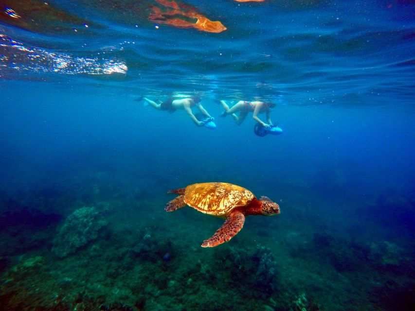 Wailea Beach: Guided Sea Scooter Snorkeling Tour - The guides are the strongest part of the experience