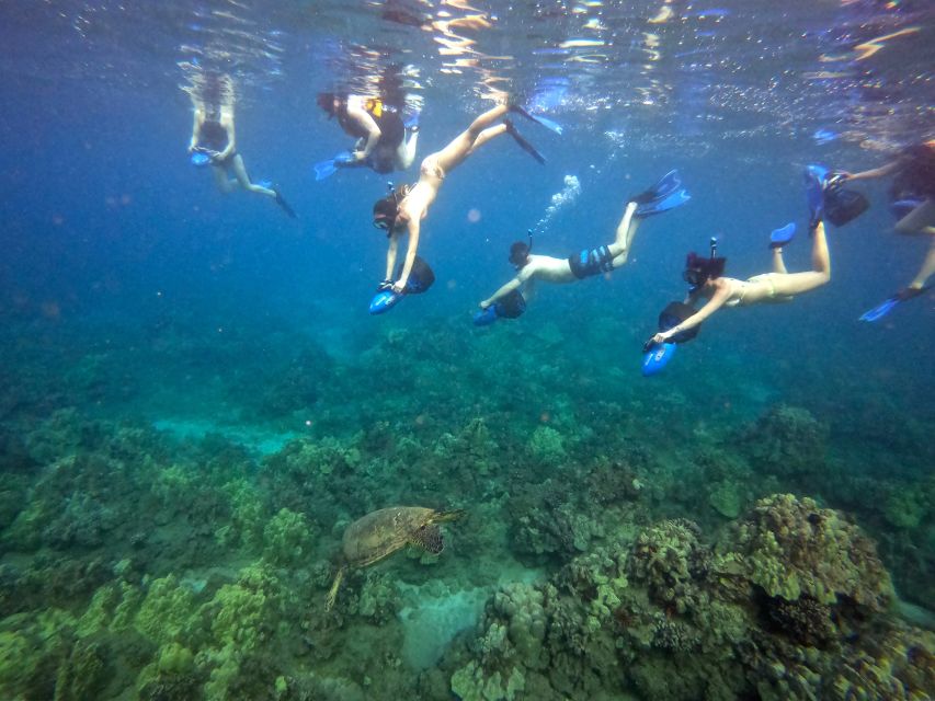 Wailea Beach: Guided Sea Scooter Snorkeling Tour - Is $149 a fair price?