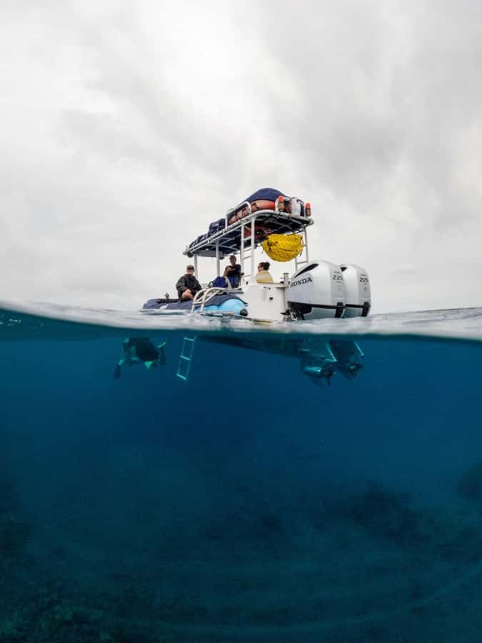 Wailea-Makina: Sea Caves, Molokini Snorkel & Turtle Town - Price, timing, and practical value