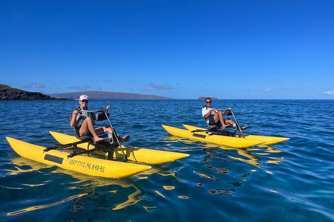 Water Bike Tour in South Maui - Passing the rare black sand beach