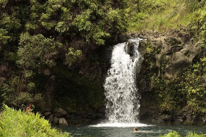 Waterfall and Rainforest Adventure - The Road to Hana without the steering wheel