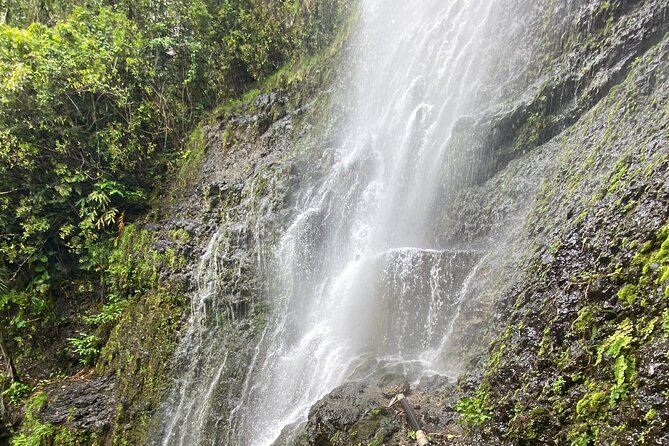 Waterfall and Rainforest Adventure - Gear, vehicle, and the value of the $405 price