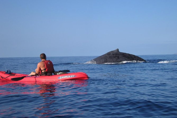 Waterfall Hike and Kayak Snorkel & Paddle from Makena - Who will enjoy this Maui combination tour?
