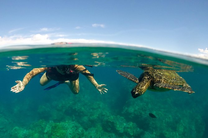 Waterfall Hike and Kayak Snorkel & Paddle from Makena - Should you book Waterfall Hike and Kayak Snorkel & Paddle from Makena?