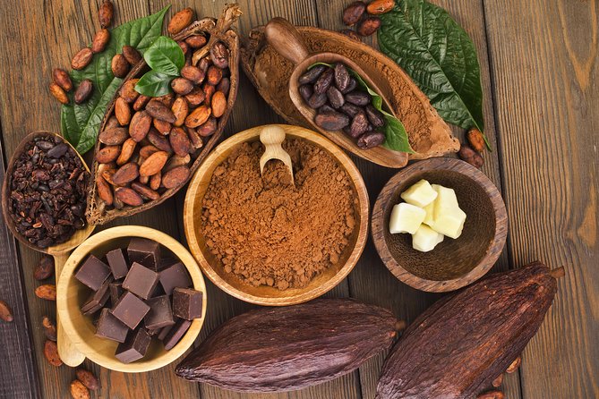 Waterfall, Rainforest, Chocolate Tour & Historical Sites - A rainforest walk with a chocolate finish