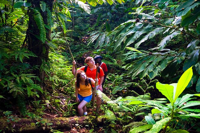 Waterfall, Rainforest, Chocolate Tour & Historical Sites - Finding the meeting point and planning the day