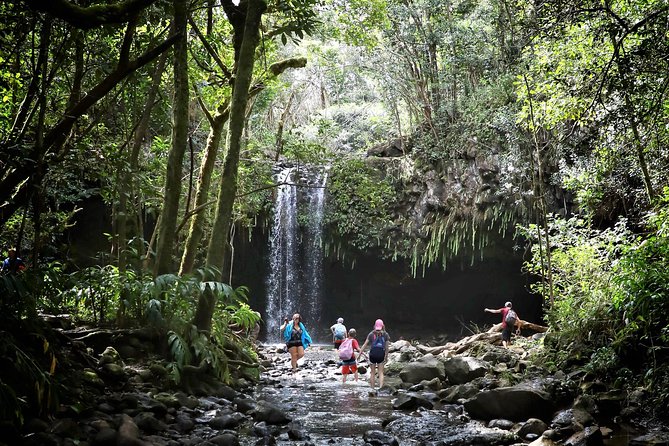 Waterfall & Rainforest Hiking Adventure with Hotel Pickup - A 2.5-mile walk through wet forest