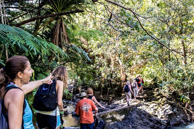 Waterfall & Rainforest Hiking Adventure with Hotel Pickup - Price, crowds, and the real value