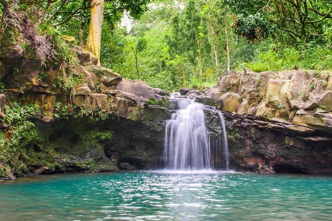Waterfall & Rainforest Hiking Adventure with Hotel Pickup - Who should book this hike