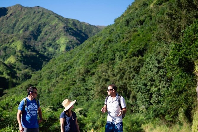 West Maui Adventure Tour with Private Guide - A private West Maui day built around your interests