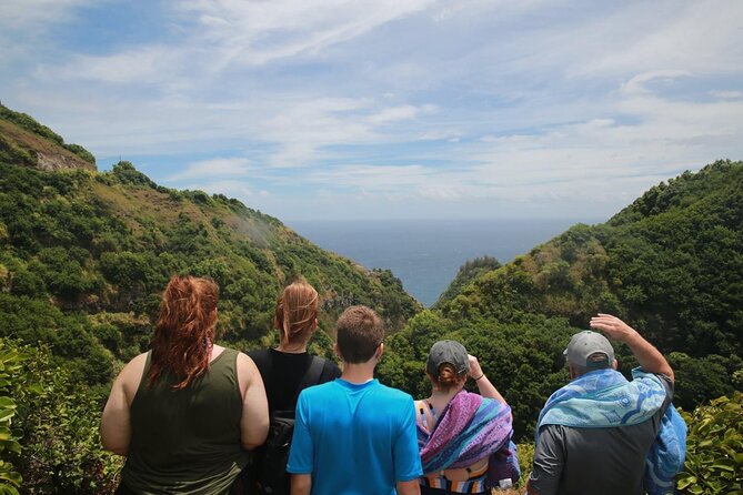 West Maui Adventure Tour with Private Guide - Waiheʻe Ridge is the serious hiking option