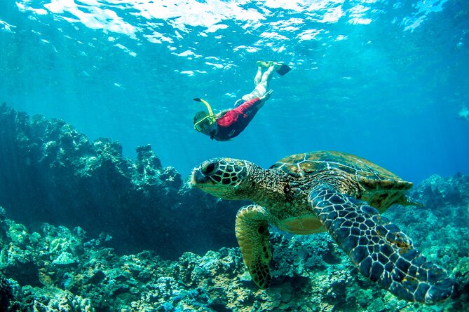 West Maui Afternoon Snorkel from Ka’anapali Beach - How much value do you get for $156.16?