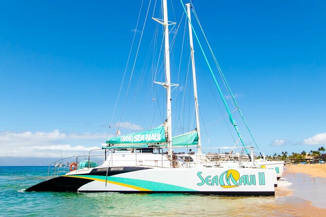 West Maui Afternoon Snorkel from Ka’anapali Beach - Who should book this afternoon snorkel?