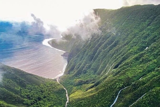West Maui and Molokai 60-Minute Helicopter Tour - What the $443.34 price buys you