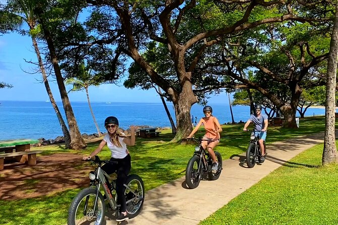 West Maui eBike Island Explorer Full-Day Rental - What the electric bike changes over eight hours