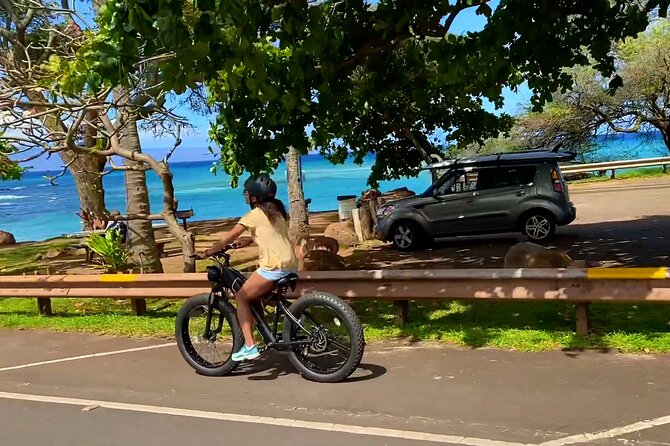 West Maui eBike Island Explorer Full-Day Rental - Who should book this West Maui ride?
