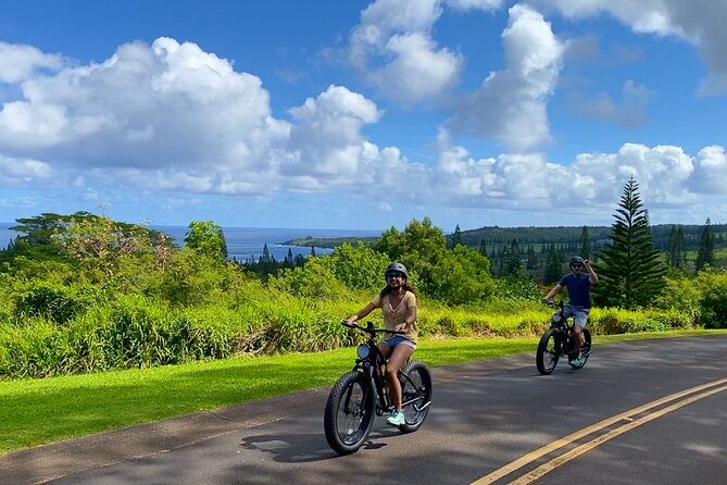 West Maui eBike Self-Guided Island Adventure Tour - What the staff does well