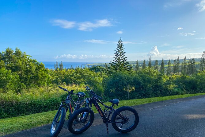 West Maui Electric Bike Rentals - How to plan your two hours