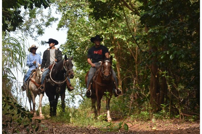 West Maui Mountain Waterfall and Ocean Tour via Horseback - Climbing toward the West Maui waterfalls