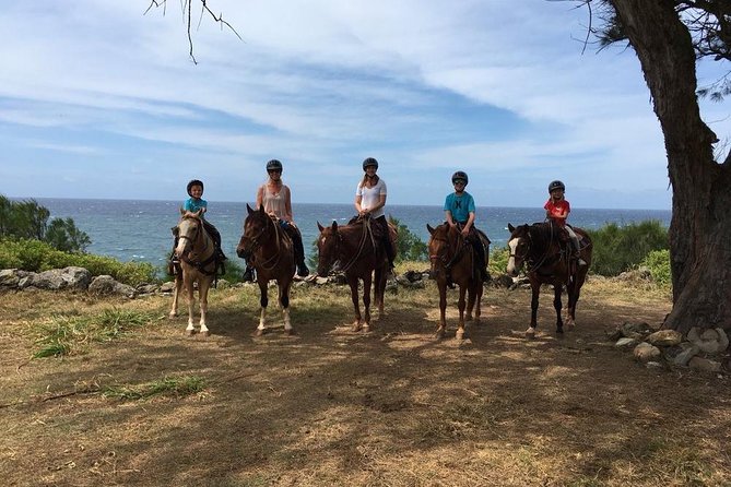 West Maui Mountain Waterfall and Ocean Tour via Horseback - Cantering, galloping, and group pace
