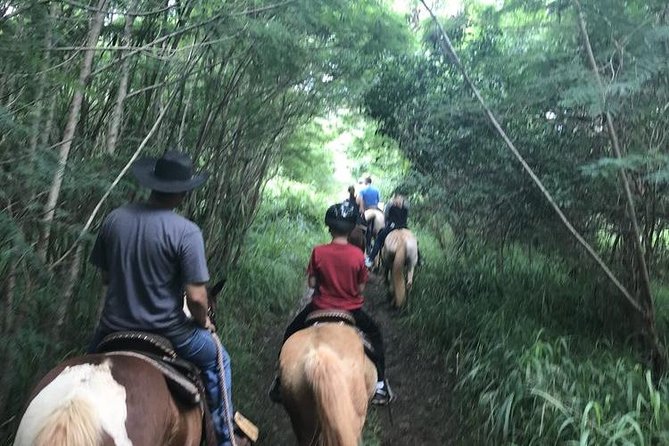 West Maui Mountain Waterfall and Ocean Tour via Horseback - Dust, mud, and what to wear