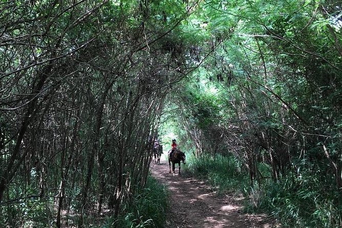 West Maui Mountain Waterfall and Ocean Tour via Horseback - Guides, safety, and comfort