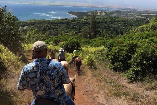 West Maui Mountain Waterfall and Ocean Tour via Horseback - Meeting the horses and farm animals