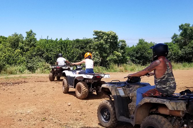 West Maui Mountains ATV Adventure - The ranch animals add a surprising extra