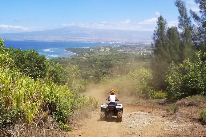 West Maui Mountains ATV Adventure - What the $229.17 price really buys